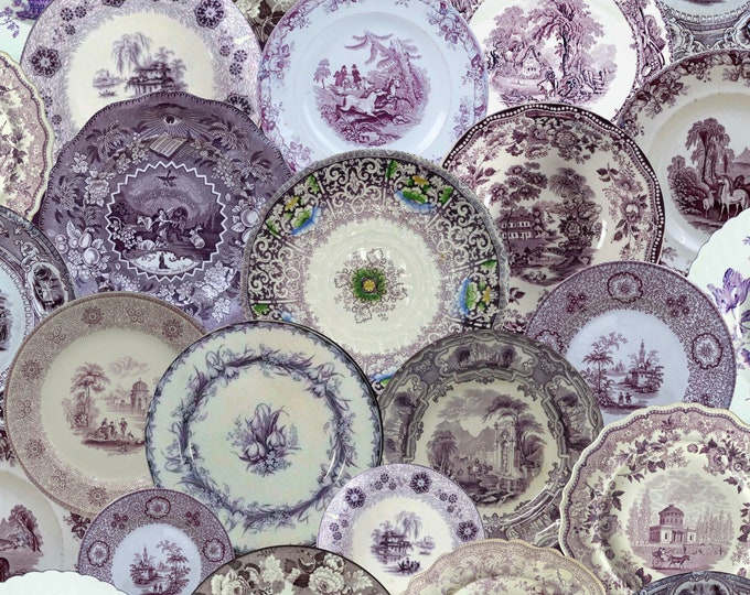 ALL DISHED UP Wallpaper Collection * Antique English Transferware Wallpaper * Purple