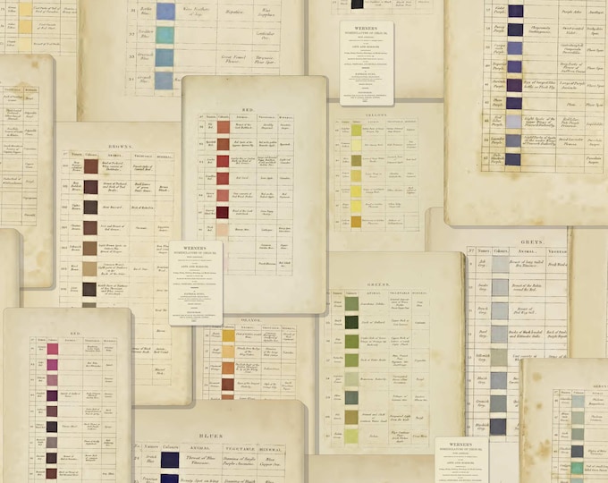 PAGES From The PAST Collection * Werner's Nomenclature of Colours * 24x24 repeat