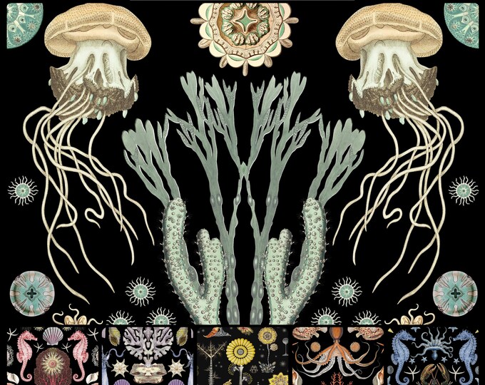 ABUNDANCE OCEANA COLLECTION * 12-106 * 12X18 repeat * Green Colorway