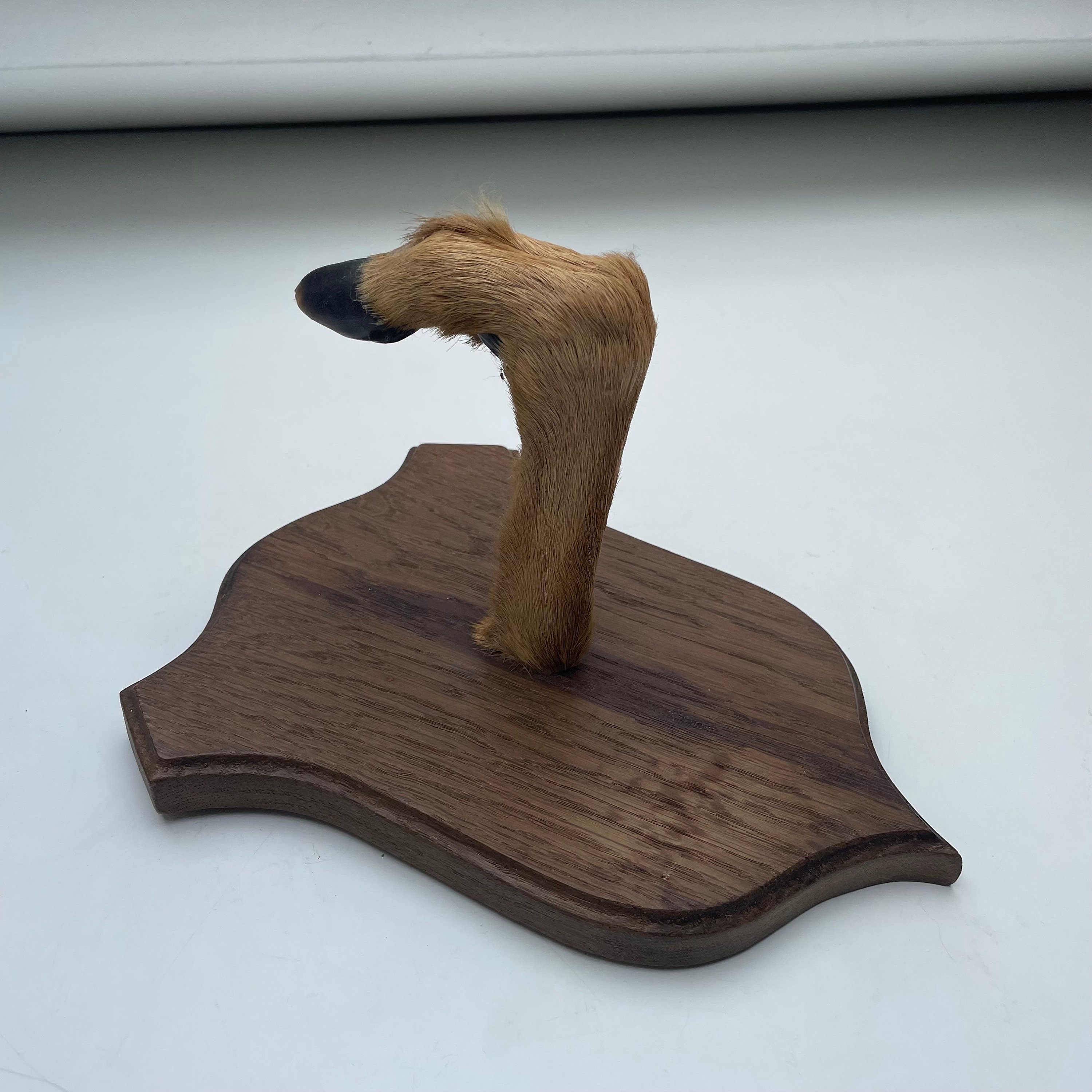 Percheros con patas de venado deals
