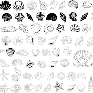 Puede incluir: Un conjunto de ilustraciones en blanco y negro de varios conchas marinas, estrellas de mar y otros diseños con temática oceánica. Las ilustraciones están en un estilo simple, de línea de arte.