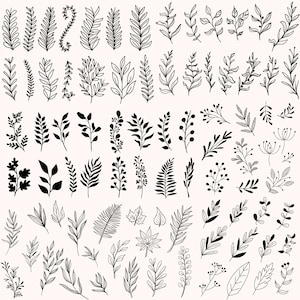 May include: A collection of 100 black and white hand-drawn floral illustrations. The illustrations feature various types of leaves, branches, and flowers.