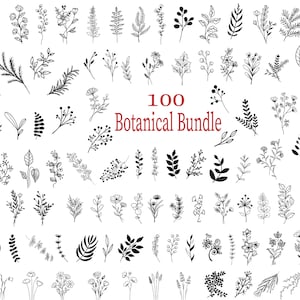 Könnte beinhalten: Ein Set mit 100 botanischen Illustrationen in Schwarzweiß. Die Illustrationen zeigen verschiedene Blätter, Blumen und Zweige. Der Text "100 Botanical Bundle" befindet sich in der Mitte des Bildes.