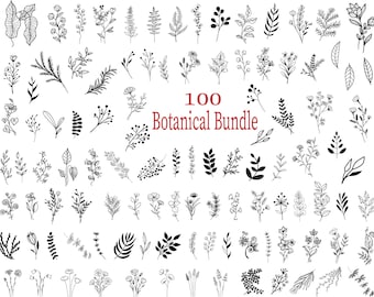 May include: A set of 100 black and white botanical illustrations. The illustrations include various leaves, flowers, and branches. The text "100 Botanical Bundle" is in the center of the image.
