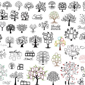 Stamboom Svg, stamboom Cricut, wortels Svg, stamboom Png-bestanden, gesneden bestanden