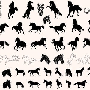 Horse Silhouette Vector Art: SVG, PNG Cut Files