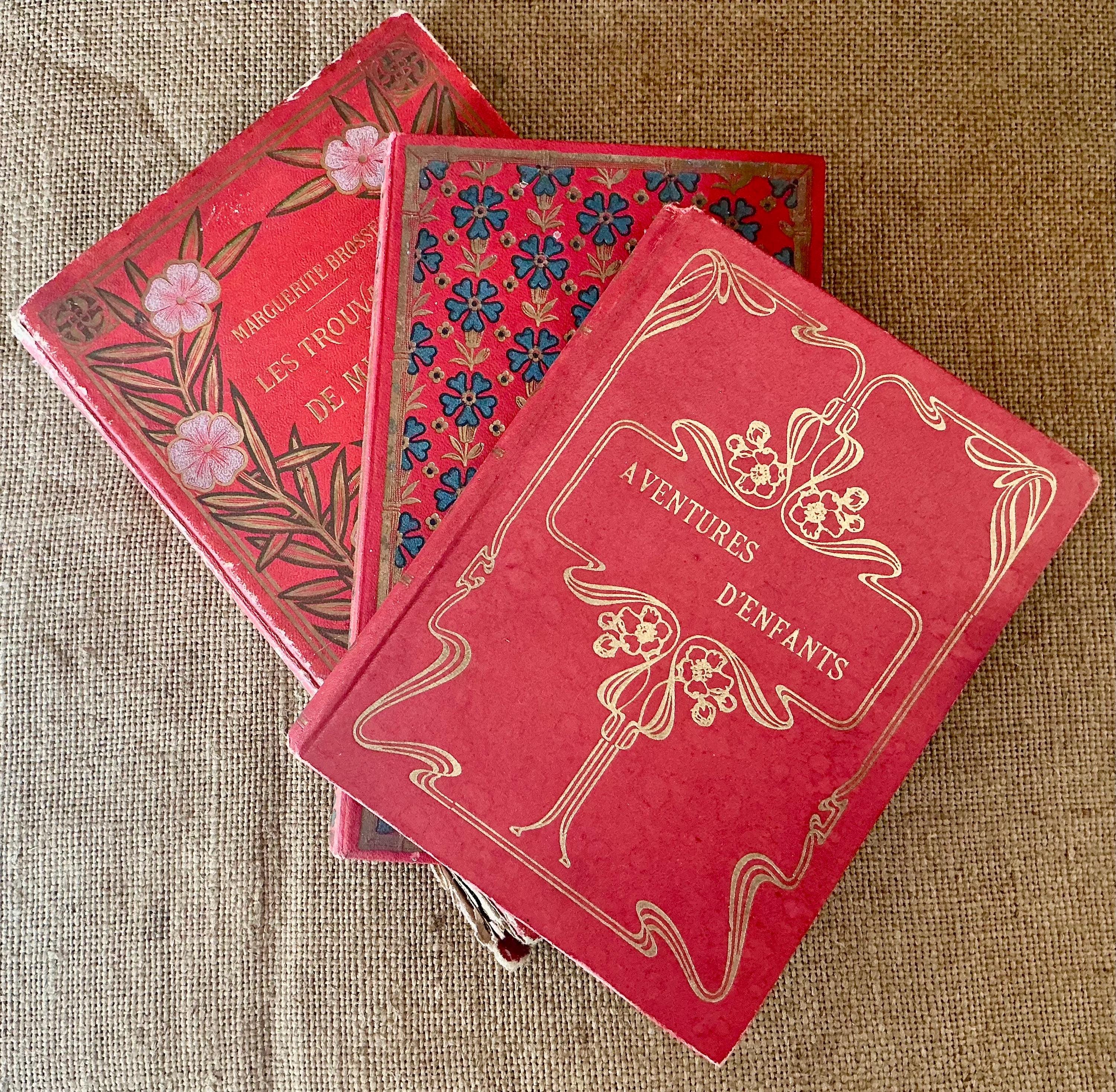A Collection of Three Beautiful Vintage French Parisian Books - Etsy