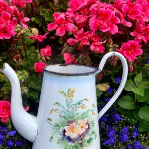 Può includere: Brocca di smalto bianco con un motivo floreale e un bordo blu. La brocca ha un manico e un beccuccio. La brocca è appoggiata su un letto di fiori rosa e viola.