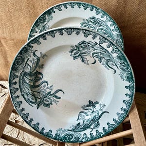 Könnte beinhalten: Zwei antike weiße Teller mit grünem Blumendesign. Die Teller haben einen detaillierten Rand und ein zentrales Blumenmotiv. Das Design ist klassisch, im Vintage-Stil, perfekt für Sammler oder für einen eleganten Esstisch.