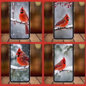 May include: Four phone screens with a red cardinal bird perched on a snowy branch in each image. The background is a blurred image of a snowy forest.