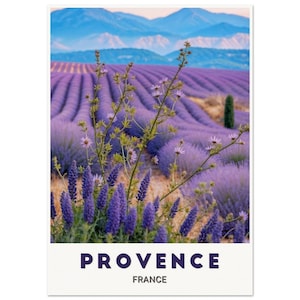 PROVENCE Poster: Captivating Lavender Fields in Full Bloom, a Stunning Tribute to the French Countryside