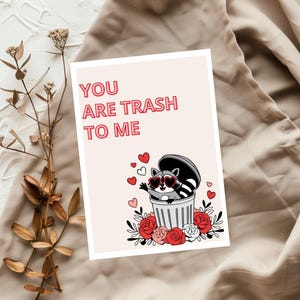 Vous êtes un amour de panda poubelle - esthétique de raton laveur | Carte de voeux drôle et mignonne pour lui | Cadeau coquin pour un anniversaire, sarcastique