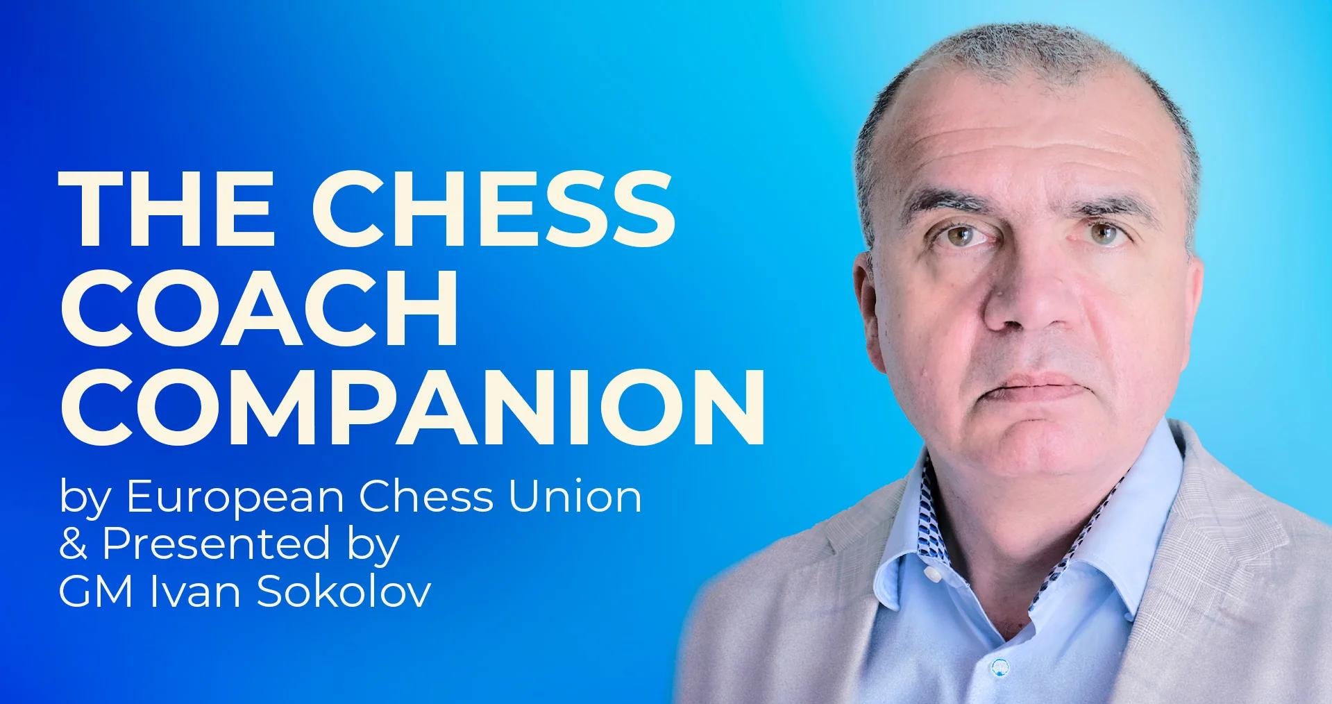 The Chess Coach Companion Advanced Syllabus Strategy Tactics & Endgame ...