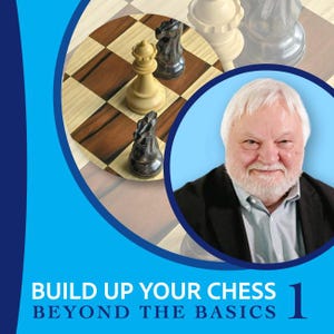 Beyond the Basics 1 Build Up Your Chess Strategy course by Quality Chess and Artur Yusupov Strategy Tactics & Thinking PGN + Video Training