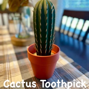 May include: A green cactus with brown spines in a terracotta pot. The cactus is a toothpick holder. The text "Cactus Toothpick Holder" is written below the pot.