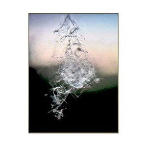 May include: An abstract image featuring a white, web-like formation set against a blurred backdrop of black, green, and pastel hues. The web-like structure seems to float, with fine strands and a more concentrated central area. The image has an ethereal, textured quality.