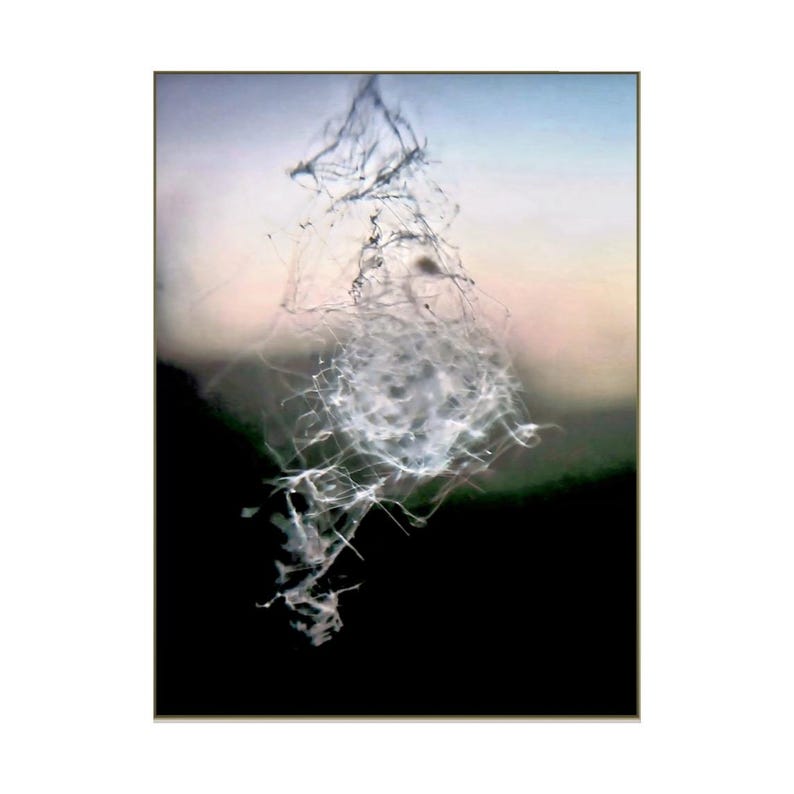 May include: An abstract image featuring a white, web-like formation set against a blurred backdrop of black, green, and pastel hues. The web-like structure seems to float, with fine strands and a more concentrated central area. The image has an ethereal, textured quality.