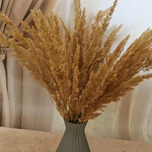 Puede incluir: Un arreglo decorativo de hierba de la pampa seca, de color marrón claro, en un jarrón gris acanalado. El jarrón tiene un diseño acanalado único. El fondo es una cortina blanca transparente.