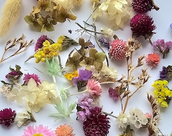 May include: Assortment of dried flowers in various colors, including purple, pink, yellow, white, and orange. The flowers are arranged on a white background.
