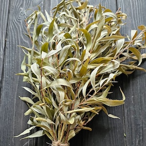 Organic Dried Willow,Dried Wreaths Willow for Rabbits, Rabbit Treats Active, Dried willow Branch,Natural Rabbit Chew,Willow for Rabbits