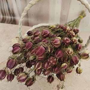 Può includere: Un cestino di vimini bianco pieno di baccelli di semi bordeaux secchi e steli verdi vaporosi. Il cestino ha un manico intrecciato e si trova su uno sfondo morbido e strutturato. I fiori secchi sono raggruppati, creando un'estetica naturale e rustica.