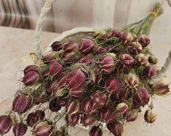 専用＊ドライフラワー  植物標本 (オクラ) 天然乾燥オクラのさや、ドライフラワーアレンジメント、花瓶のフィラー