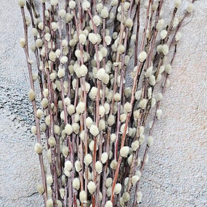 100 stuks maat 50-60 cm droge wilgenstengels, droge bloemen, paasbrievenbus, brievenbus paasbloemen, gedroogde wilg, wilgentakken