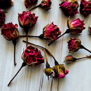 Op de afbeelding: Een verzameling gedroogde rozenknoppen in verschillende tinten roze en rood, verspreid over een wit houten oppervlak.