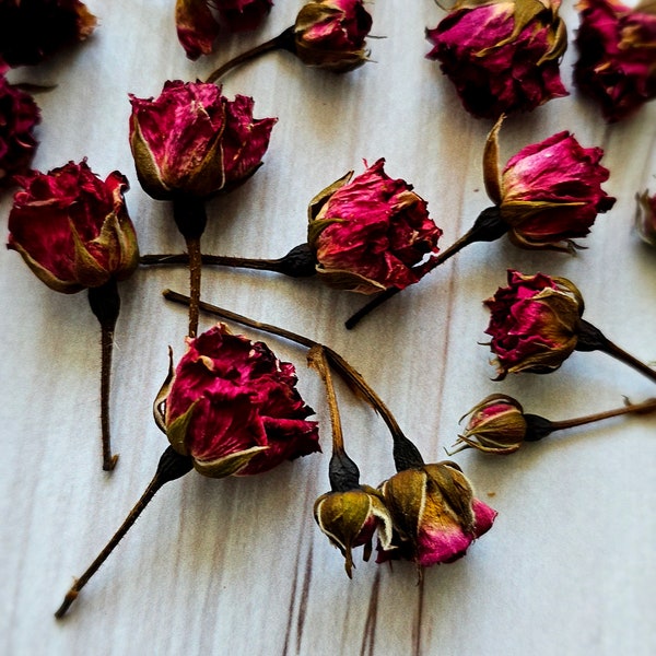 15 pcs Dried Rose Flowers,Dried Rose,Red dry roses,Miniature Rose Buds,Red Dried Roses,tiny dried flower for resin, dried plants for craft