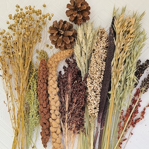 Set biologische hamstersprays 300 gram, accessoires voor hamsterkooi, sprays voor hamsters