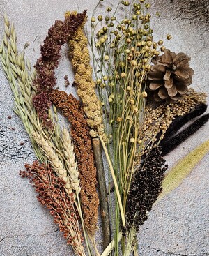 Literie Fleurs Séchées Pour Hamster - Décoration Naturelle Pour Cage - Fleurs Et Herbes Cueillies à La Main - 25 Cm