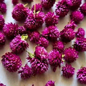 50 pcs Dried tiny flowers, Gomphrena heads,purple dried flowers,epoxy resin supply,tiny dried flowers,DIY Soap Making DIY Candle Making