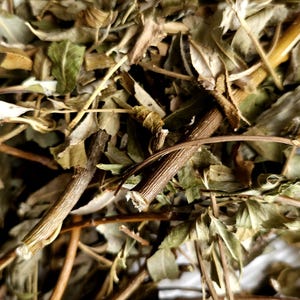 Hojas de sauce secas orgánicas con ramas, golosinas para conejos, 500 g