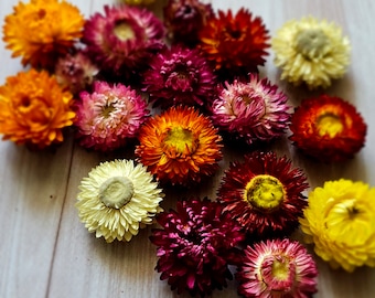 100 Dried Strawflower Heads, dried flowers, wedding diy,DIY Soap Making ,DIY Candle Making, Dried flower for resin, Dried flower for craft