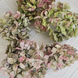 May include: Close-up of dried hydrangea flower heads in pink, green, and cream hues. The petals have a textured appearance. Several bunches of the dried flowers are visible, ideal for floral arrangements or decorative purposes.