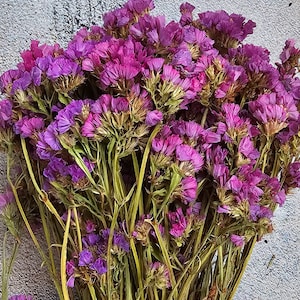 May include: A bunch of dried purple statice flowers with green stems. The flowers are arranged in a bouquet and are ready to be used in a craft project or floral arrangement.