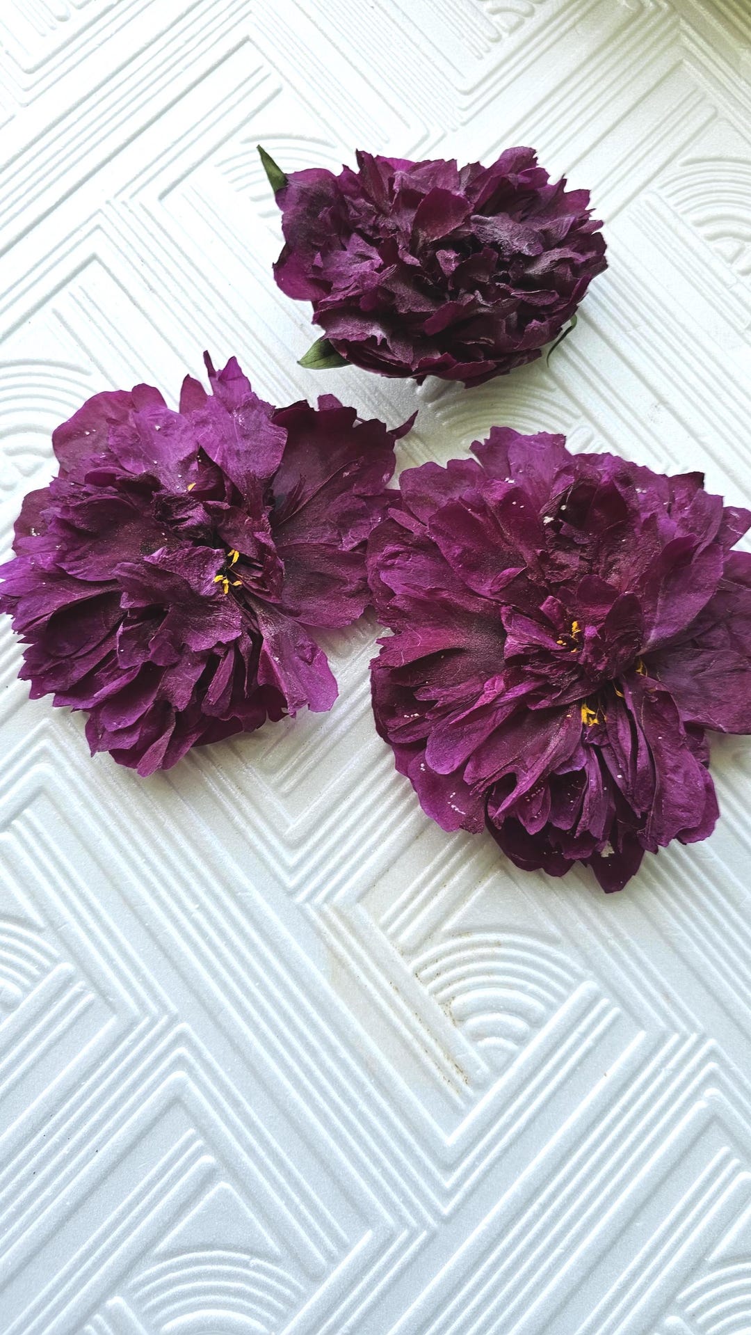 3 Pressed Peony Flowers, Real Dried Flowers, Resin Crafts - Etsy