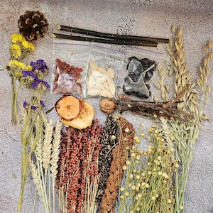 May include: A collection of dried natural elements, including wheat, oats, millet, flax, and dried apple slices. There are also small bags of dried cranberries, pumpkin seeds, and blackberries. The items are arranged on a textured, light gray surface.