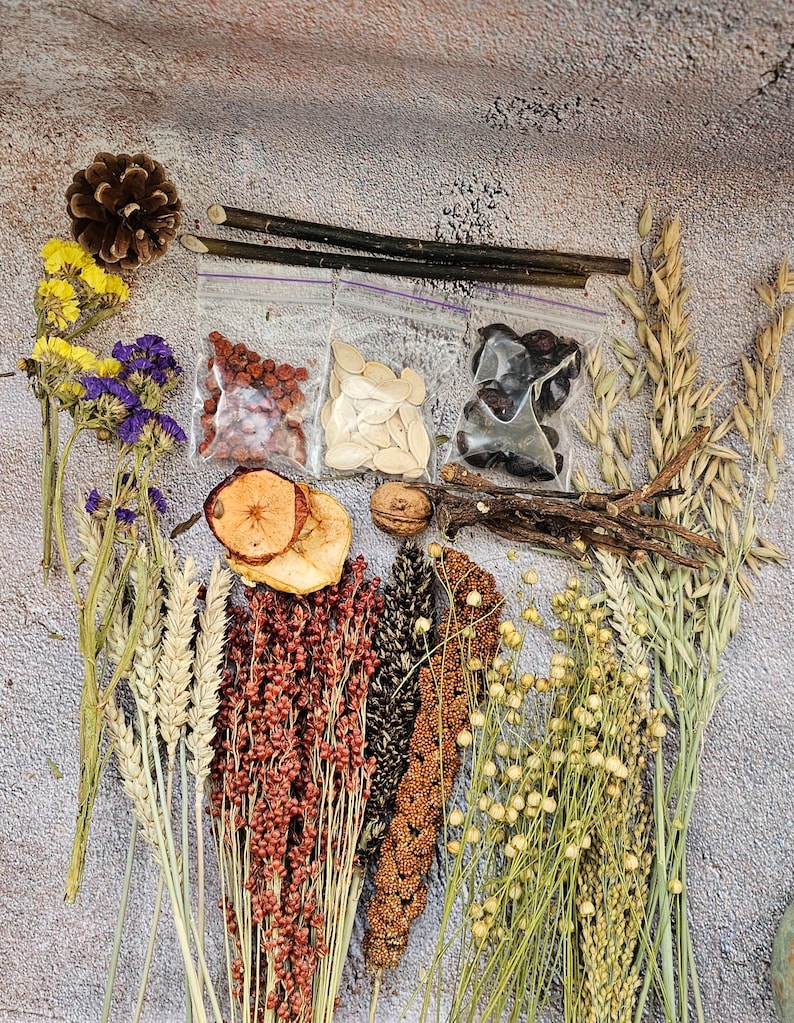 May include: A collection of dried natural elements, including wheat, oats, millet, flax, and dried apple slices. There are also small bags of dried cranberries, pumpkin seeds, and blackberries. The items are arranged on a textured, light gray surface.