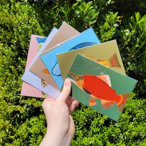 May include: A set of five illustrated postcards featuring different types of fish. The postcards are printed on thick cardstock and have a glossy finish. The fish are depicted in a realistic style and are surrounded by a simple background.