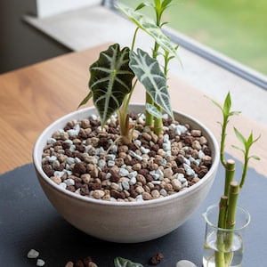 Mineralisches Substrat 5-8 mm (Zeolith, Lava, Bims) - ungespült / gespült