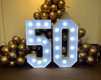 4FT LED Numbers to hire (London Based)