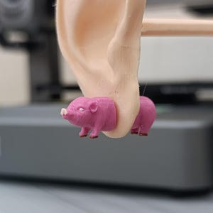 Rosa Schwein Ohrringe - Niedliche Ferkel Ohrstecker - Lustige 3D Gedruckte Bauernhof Schmuck - Kawaii Schwein Geschenk