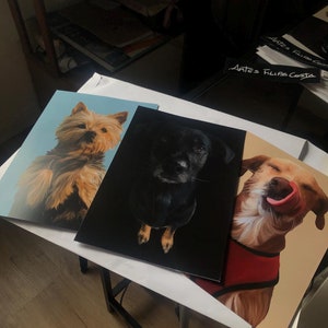 Custom Pet Portrait