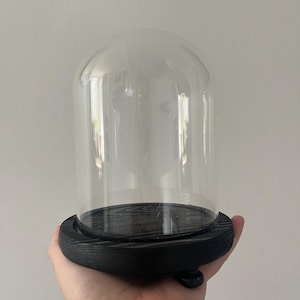 Medium bell jar with black wood base | 18 v 13 cm (h, w) | medium glass dome | bell jar on legs | glass cloche | display dome | display dome