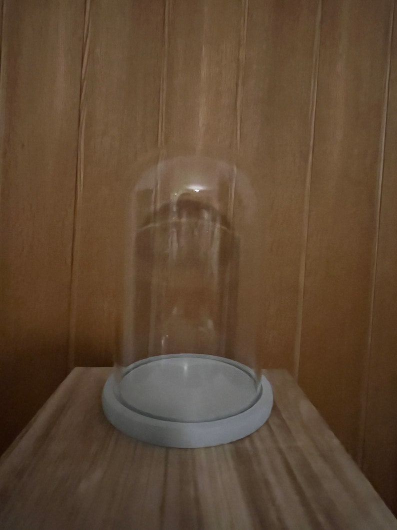 Large Glass Dome With Light Grey Wooden Base 25 V 15 Cm h, W Extra