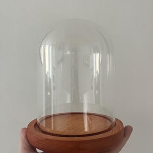 Medium glass dome on natural wooden tanned base | 18 v 13 cm (h, w) | vintage effect dome | bell jar on legs | glass cloche | display dome