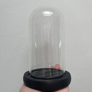 Small glass dome on black wooden base | 16 v 10 cm (h, w) | slim glass dome | small bell jar | glass cloche | display dome | display case