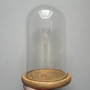 Large bell jar with gold painted wood base | 26 v 17 cm (h, w) | extra large | bell jar | glass cloche | display dome | vintage effect
