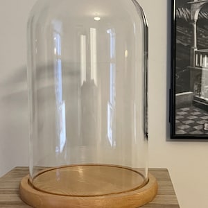 Large glass dome with light varnished wood base | 26 v 17 cm (h, w) | extra large | bell jar | glass cloche | display dome | vintage effect